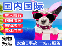 高崎航空快递国际宠物托运 【国
